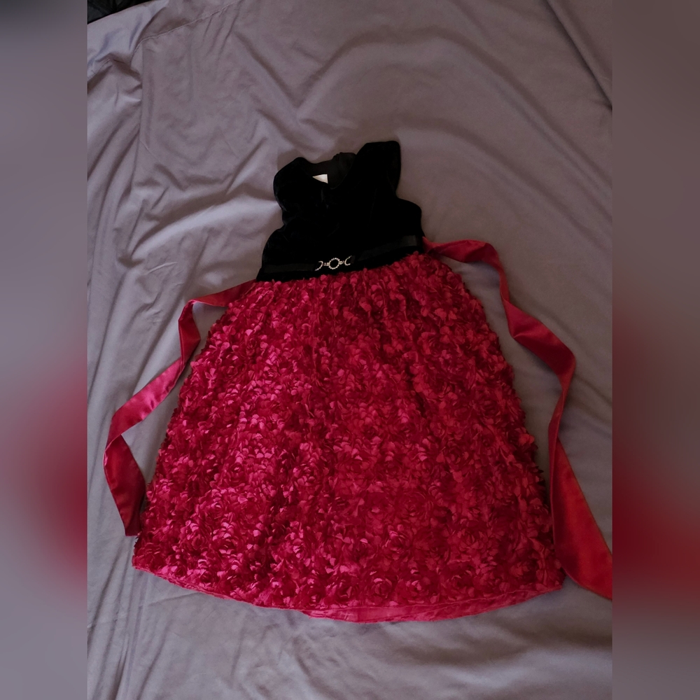 Formal Girl's Velvet Party Dress with Rose Petal Skirt